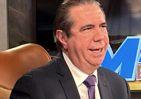 “En 2028 la alianza se hará alrededor de la candidatura presidencial del PLD”, asegura Francisco Javier