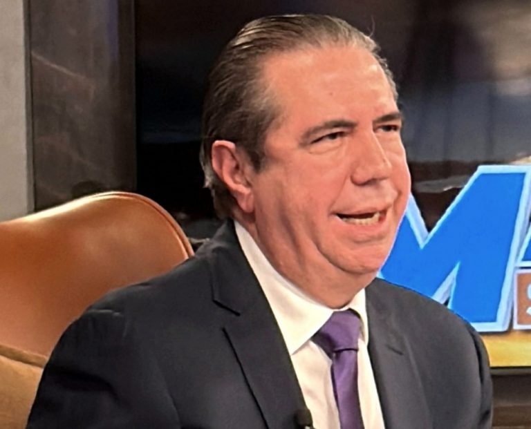 “En 2028 la alianza se hará alrededor de la candidatura presidencial del PLD”, asegura Francisco Javier