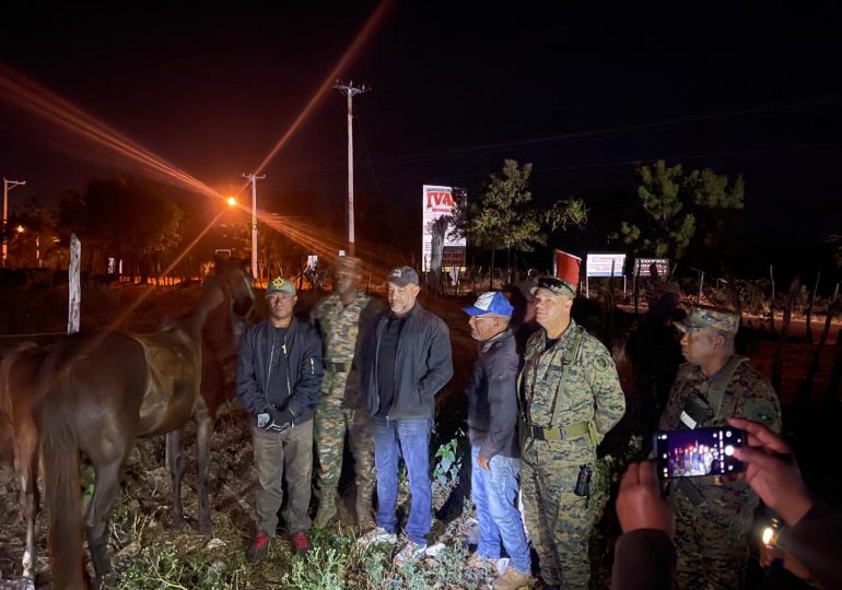 Ejército recupera ganado robado en hacienda de Dajabón