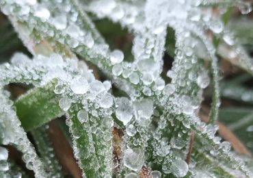 Temperatura en Valle Nuevo alcanza -1°C y provoca helada en la zona