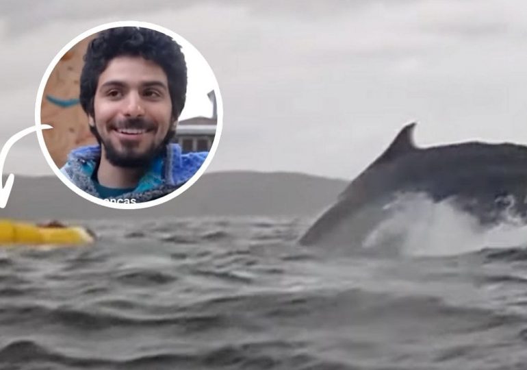 Es físicamente imposible que una ballena jorobada se trague a una persona, según experto