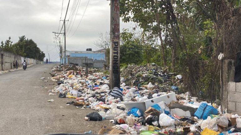 Residentes de Villa Linda y Carmen Renata III en Pantoja denuncian crisis de basura y proliferación de roedores