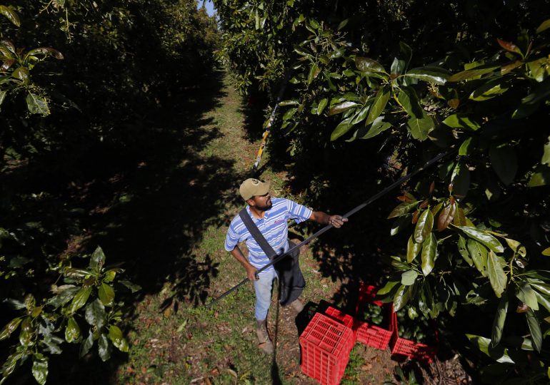 Cuatro claves de la intensa relación comercial Mexico-EE.UU. ante la sombra de aranceles