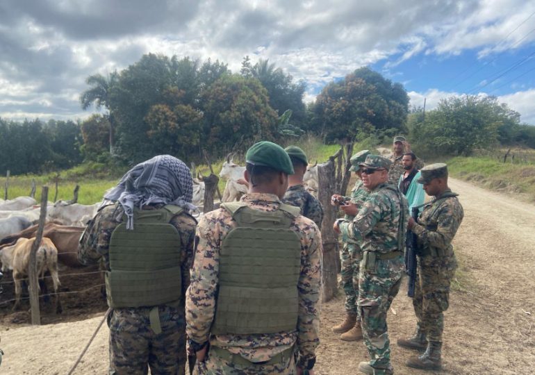 Ejército recupera ganado y decomisa cigarrillos de contrabando durante operativos en Dajabón y Elías Piña