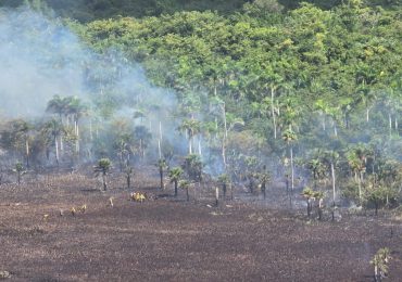 COE y organismos de emergencia controlan incendio forestal en la reserva natural Hoyo Claro