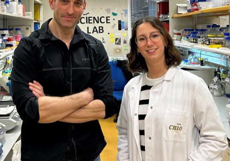 Científicos desvelan la clave para favorecer la regeneración del hígado tras un daño agudo