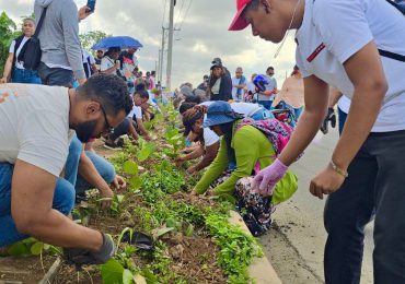 La Digecac y la UAPA siembran 2,500 plántulas de uva de playa en la Av. Ecológica