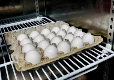 EEUU importa huevos de Corea y Turquía para reducir precios ante la gripe aviar