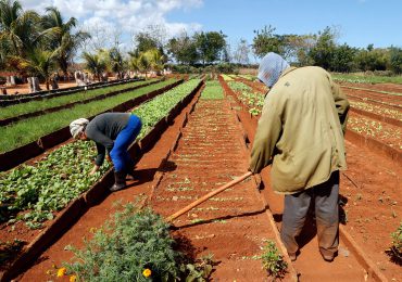 Cuba contempla por primera vez otorgar por ley tierras en usufructo a extranjeros