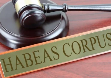 Recurso de hábeas corpus: una garantía de libertad