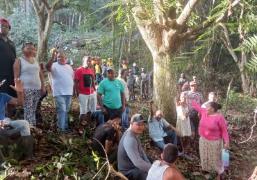 Denuncian devastación de árboles en la cabecera del río El Naranjo en Cotuí