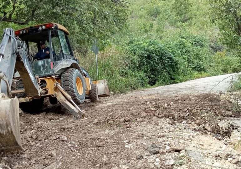 UTEPDA despeja caminos y siembra miles de tareas de café, aguacate y árboles