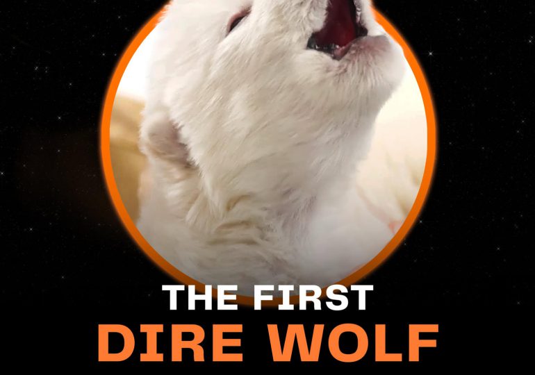 Dan vida al lobo huargo de la Casa Stark en la serie 'Juego de Tronos', extinto hace 13.000 años