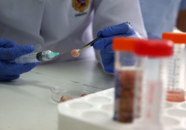 Organismos espejo, el inquietante camino que los científicos piden no recorrer
