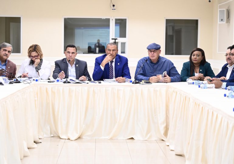 Comisión bicameral define metodología de estudio Código Penal