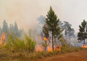 Un gran incendio forestal afecta ya 2,800 hectáreas de bosques en el oeste de Cuba