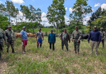 Unidades de drones y patrullas del Ejército localizan ganado reportado como robado en Dajabón