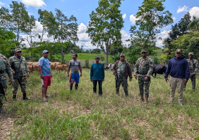 Unidades de drones y patrullas del Ejército localizan ganado reportado como robado en Dajabón