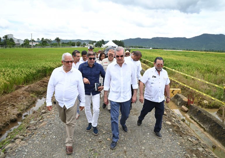República Dominicana lanza nueva tecnología arrocera para enfrentar retos DR Cafta