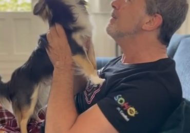 Antonio Banderas y su compañero canino, protagonistas en los ensayos de Gypsy