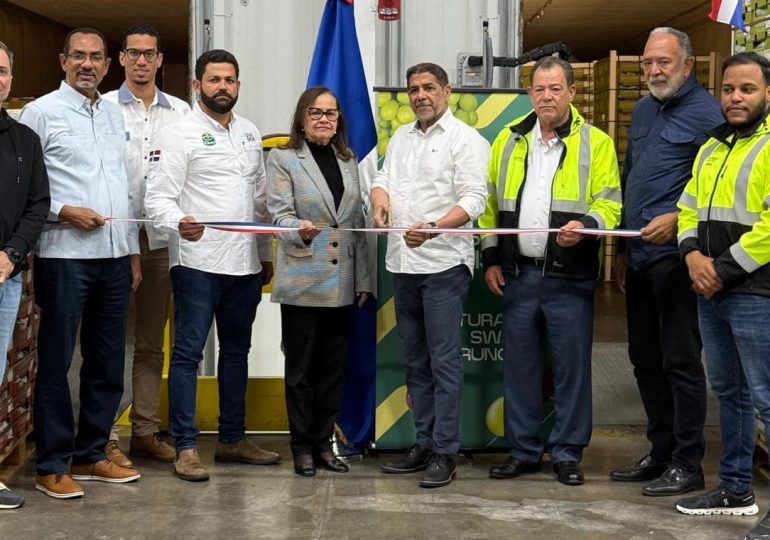 Llegan a puerto EEUU primeros furgones de uvas de mesa dominicana