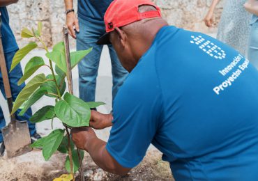 Alcaldía DN celebra Día Nacional del Árbol con plantación de 70 árboles en Renacimiento