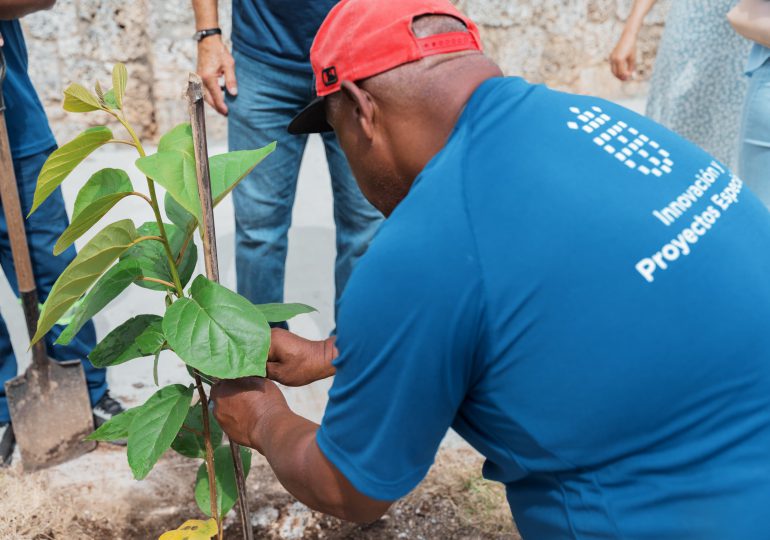 Alcaldía DN celebra Día Nacional del Árbol con plantación de 70 árboles en Renacimiento