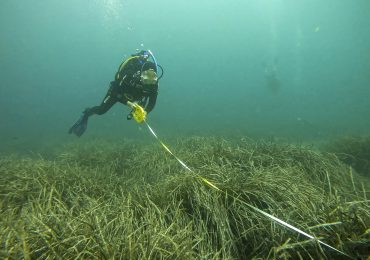 Calentamiento y sobreexplotación agravan el estado de unos océanos cada vez más amenazados