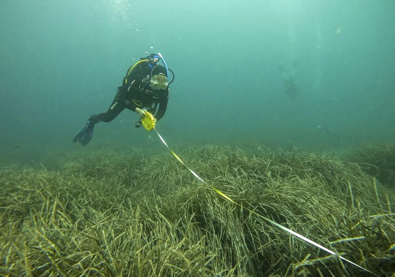 Calentamiento y sobreexplotación agravan el estado de unos océanos cada vez más amenazados