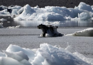 El hielo se derritió en mayo 17 veces más rápido que la media en Groenlandia