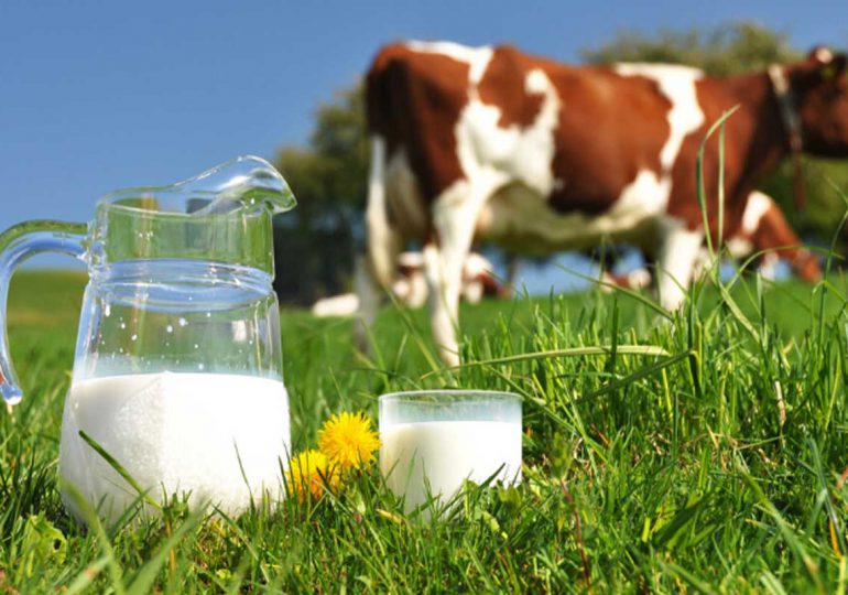 Hoy es Día Mundial de la Leche: Beneficios y alternativas