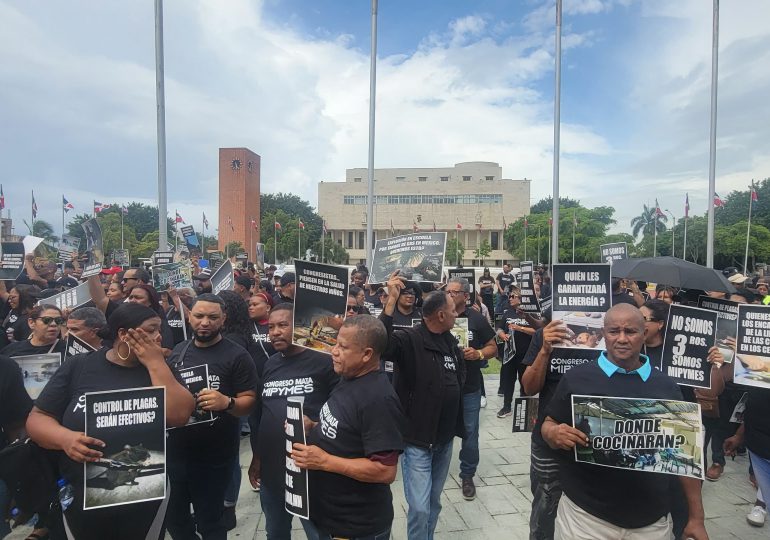 Suplidores de alimento se oponen a proyecto de Ley de Nutrición y Alimentación Escolar