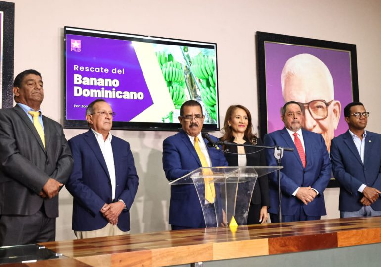 PLD responsabiliza al Gobierno del incendio en el Merca Santo Domingo