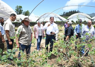 Agricultura introduce nuevos frutales: ministro Limber dice buscan ampliar y diversificar cultivos