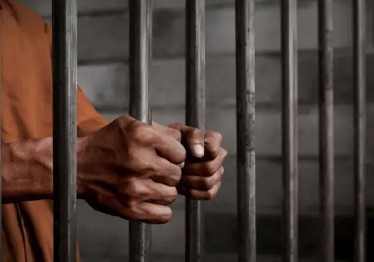 Condena de un año para hombre que envenenó más de una docena de animales en La Romana