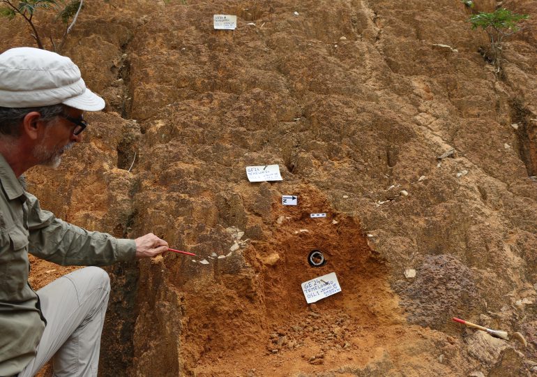 Los humanos habitaron las selvas de Guinea de manera continuada durante más de 20.000 años