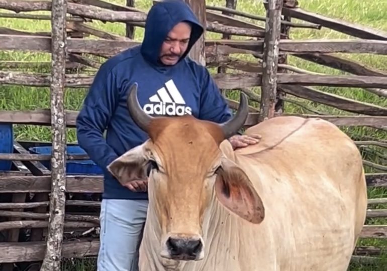 Frank Reyes comparte un momento con sus animales en el campo