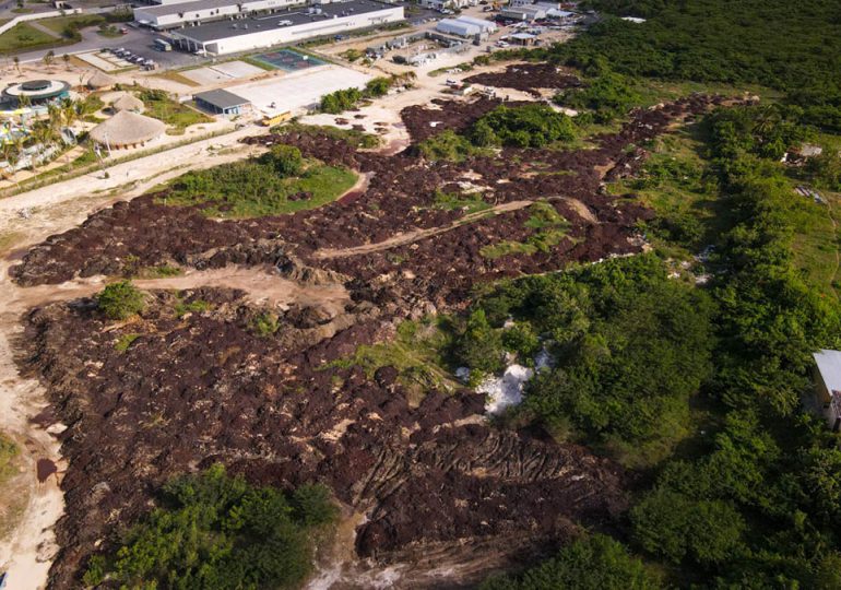 Medio Ambiente somete a la justicia hotel violaba leyes ambientales en Punta Cana