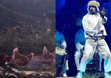 Denuncian a Bad Bunny por utilizar animales vivos en sus conciertos en Puerto Rico