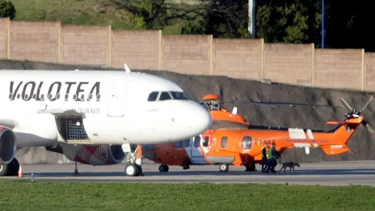 Tragedia en aeropuerto de Milán: hombre muere al ser succionado por motor de avión