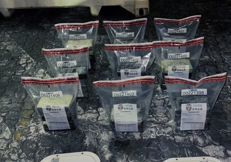 Video: Incautan 43 paquetes de presunta cocaína en Puerto Multimodal Caucedo