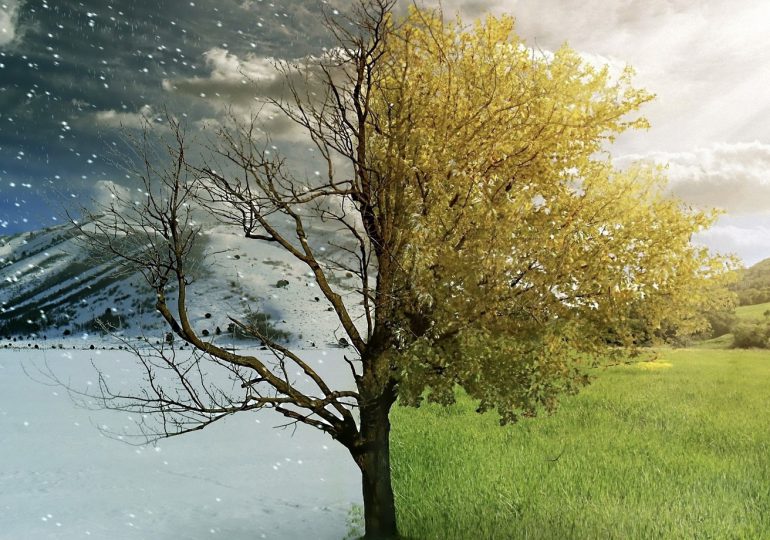 ¿Influye la estación del nacimiento en la personalidad?