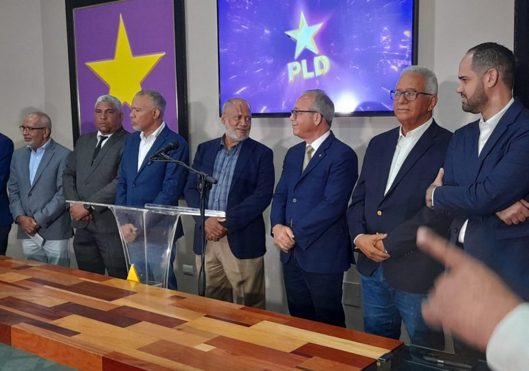 PLD dice que pedir disculpas a la población no se resuelven los apagones