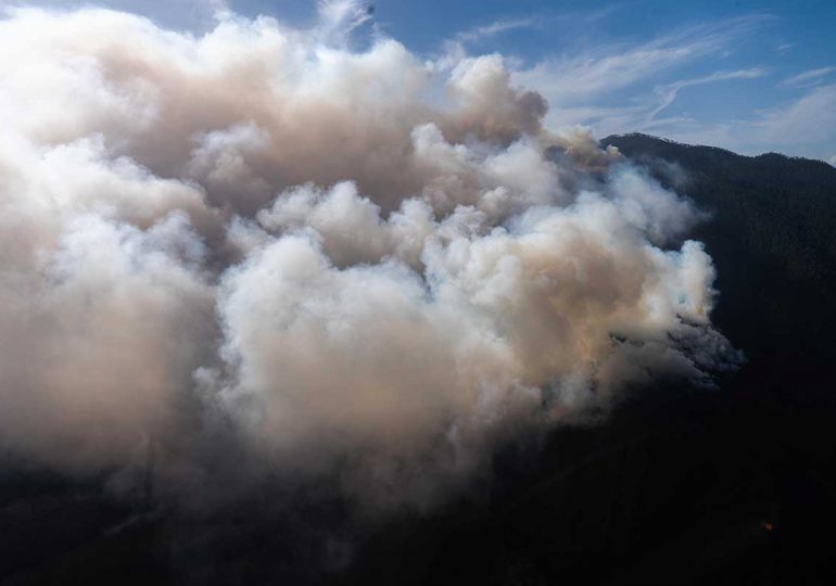 Medio Ambiente continúa combatiendo incendio en Parque Armando Bermúdez
