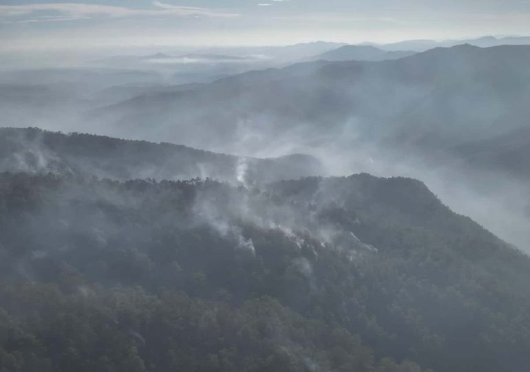 Medio Ambiente informa que incendio en Loma del Oro quedó totalmente liquidado