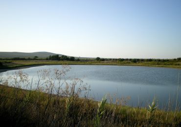 Red Socioambiental Nacional denuncia crimen ecológico en la Laguna de Rincón y exige acciones urgentes del Estado