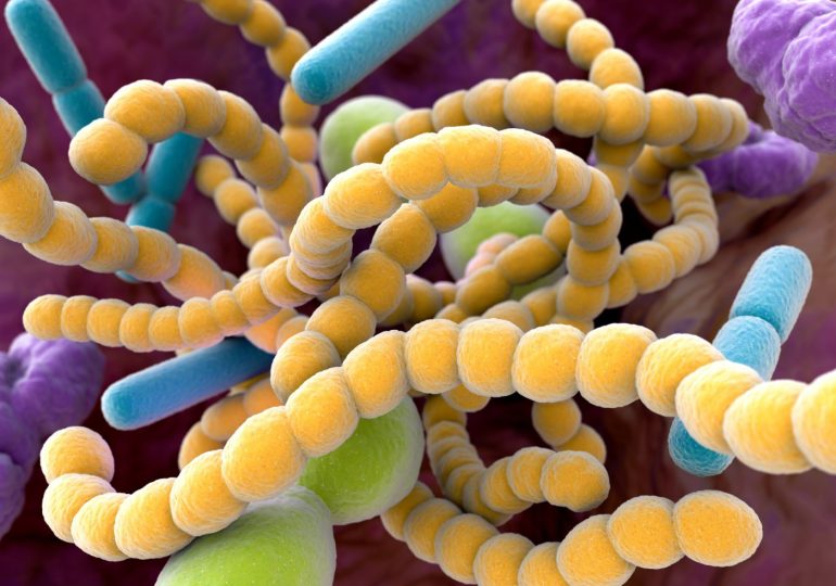 Cleveland Clinic identifica vínculo entre microbios intestinales y mayor riesgo de aneurismas aórticos abdominales