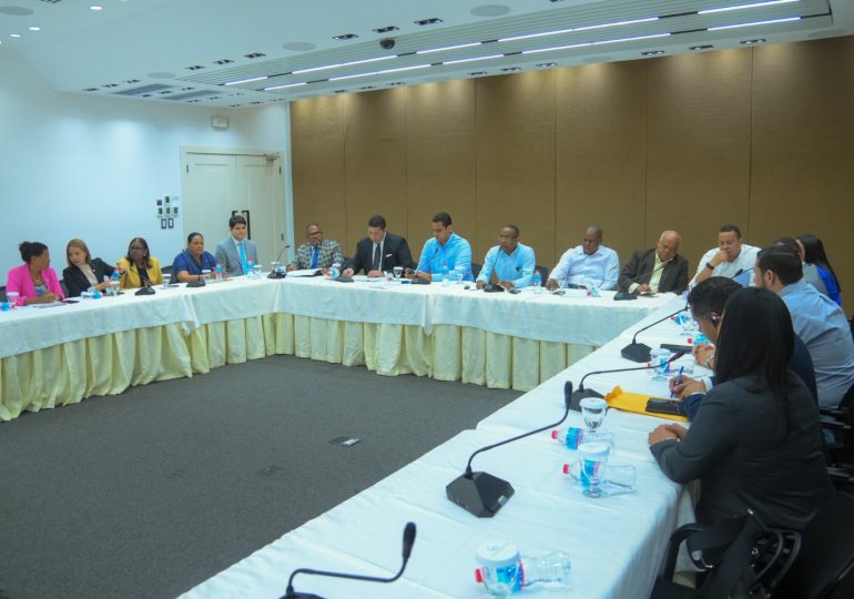 Diputados evalúan creación del Ministerio de Seguridad Ciudadana con DNCD y Poder Ejecutivo