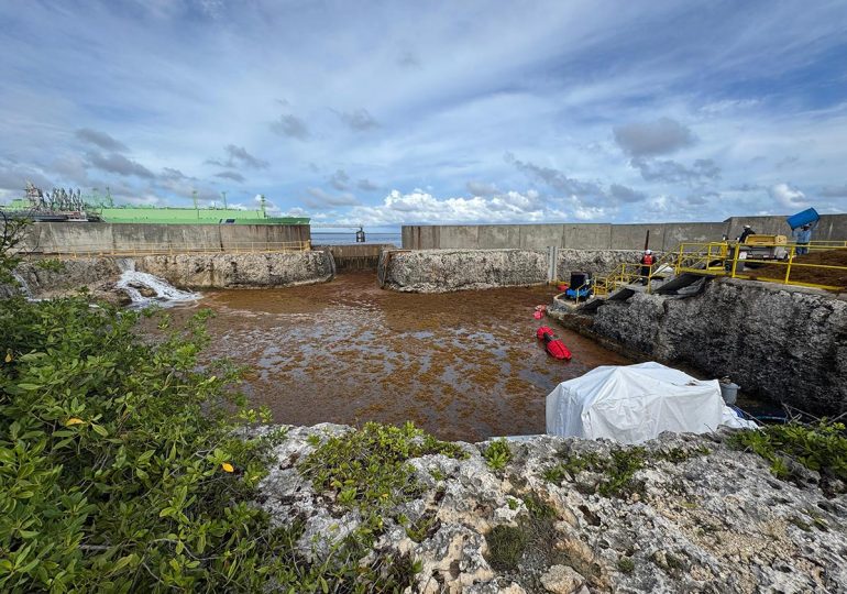 Video | Sargazo afecta operación en AES Andrés