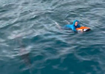 Daddy Yankee comparte un momento de paz en Palomino junto a su amigo “Un delfín”